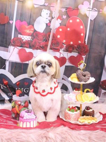 20250216ちょびくん